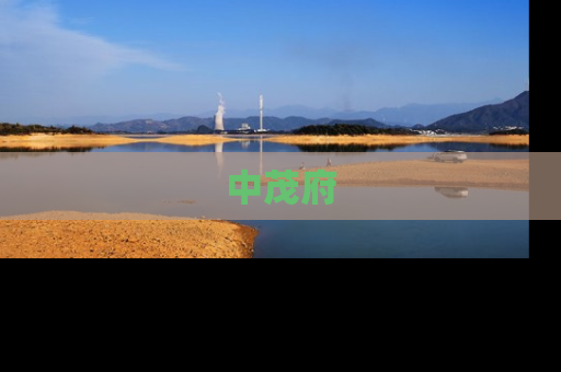 中茂府