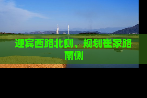迎宾西路北侧、规划崔家路南侧