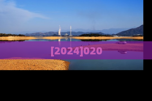 [2024]020