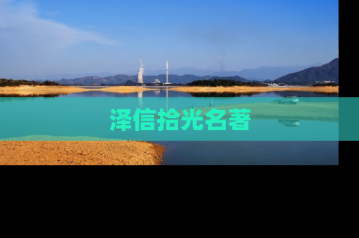 泽信拾光名著