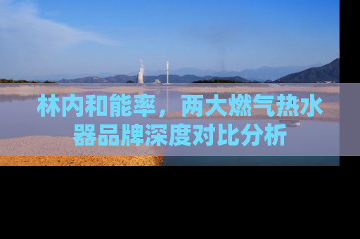 林内和能率，两大燃气热水器品牌深度对比分析
