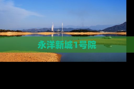 永洋新城1号院