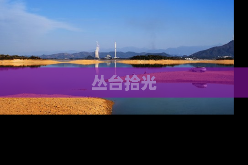 丛台拾光