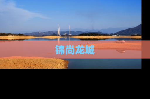 锦尚龙城