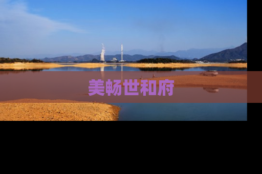 美畅世和府