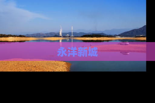 永洋新城
