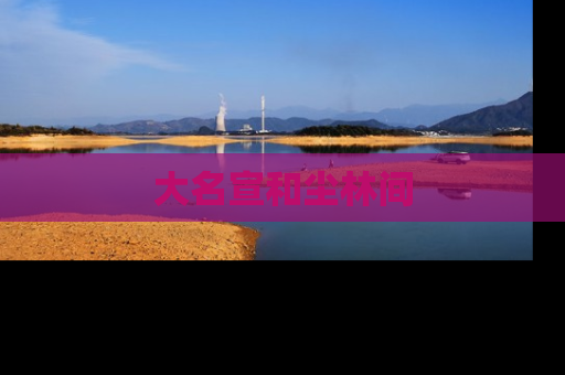 大名宣和尘林间