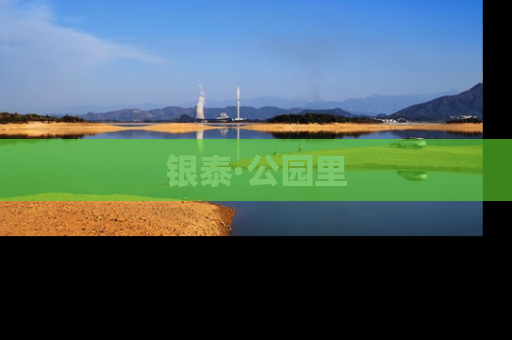 银泰·公园里