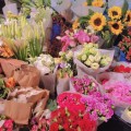 济南花卉市场哪里最好